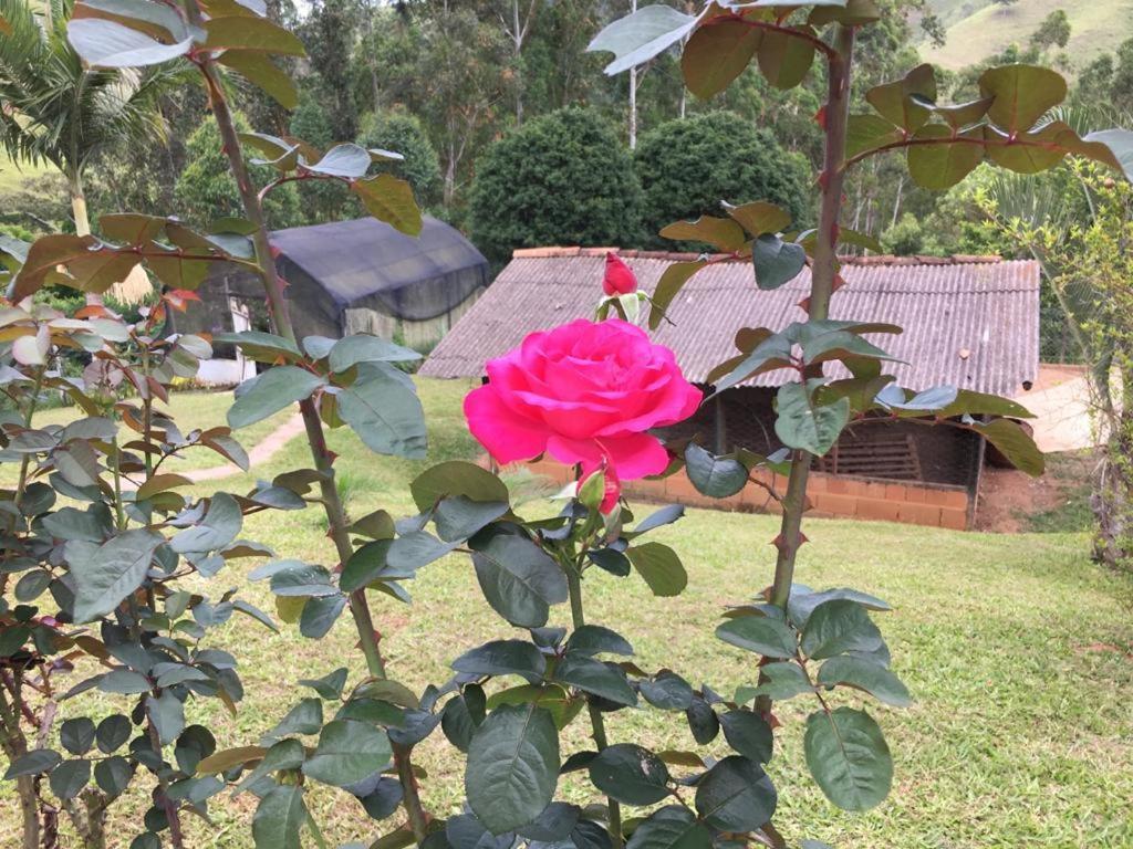 Casa/Sitio Na Serra Em Bom Jardim - Rj Ngoại thất bức ảnh
